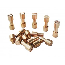 Pirinç Kabza Montaj Vidası (10 Adet)