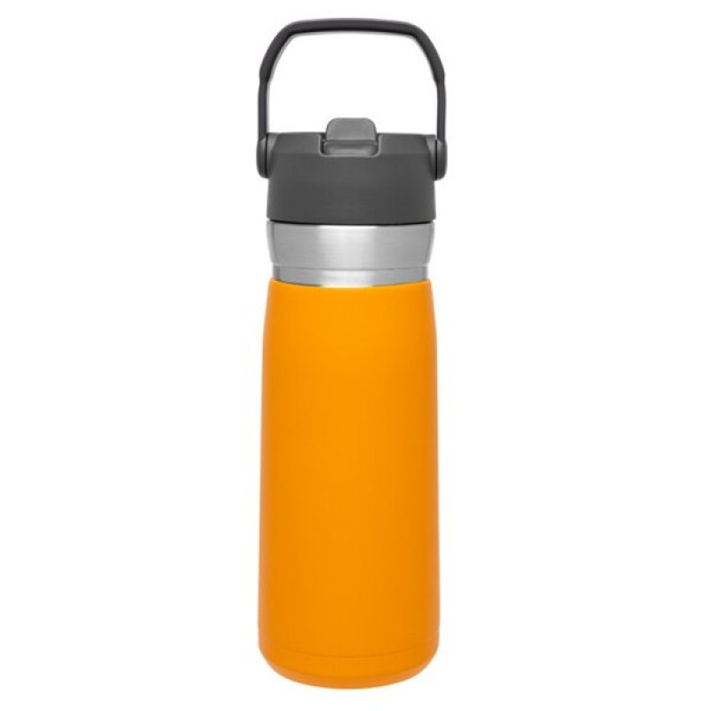 Stanley Go Ice Flow Water Bottle 0.65 LT (Saffron)